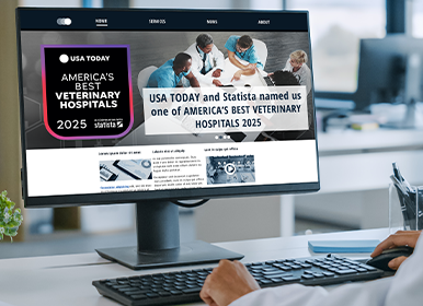 InvestorRelations_ABVH_2025_US_USATODAY