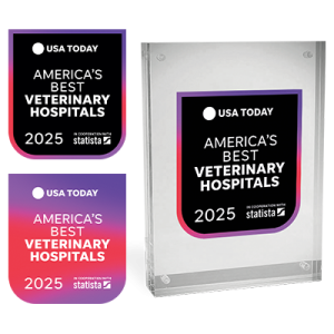 Overview_ABVH_2025_US_USATODAY