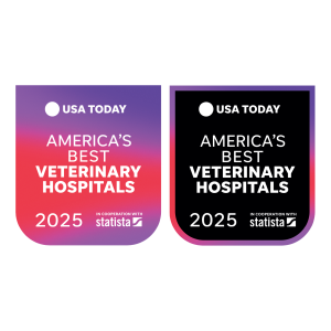 USAToday_ABVH_2025_LandingPages_Logo